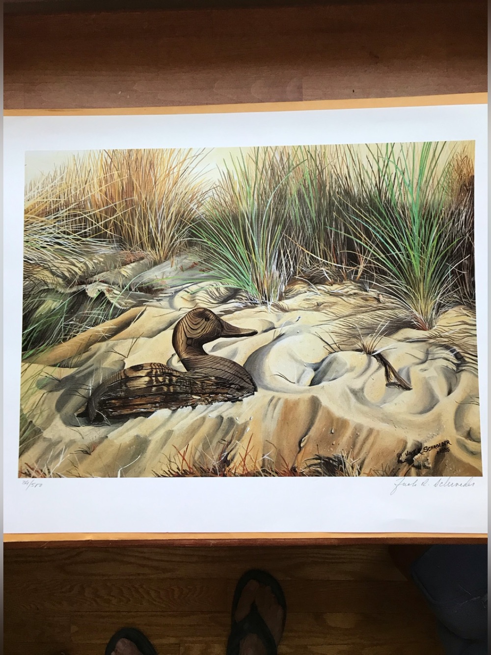 1985 Signed Duck Print